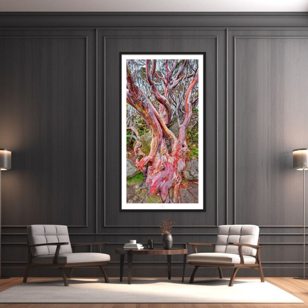 Framed Black